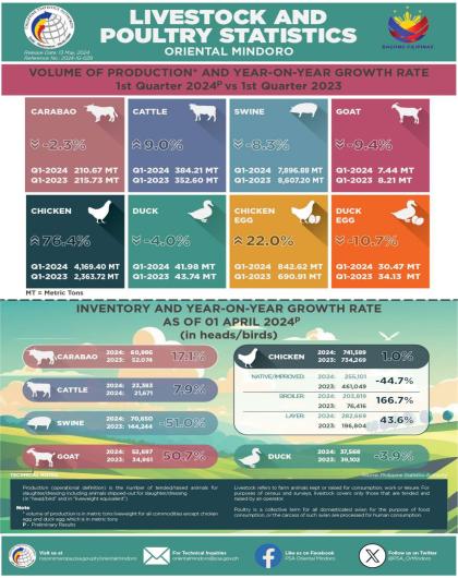 Oriental Mindoro Livestock and Poultry - First Quarter 2024 (Preliminary)