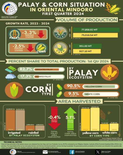 Oriental Mindoro Palay and Corn Statistics - 1st Quarter 2024