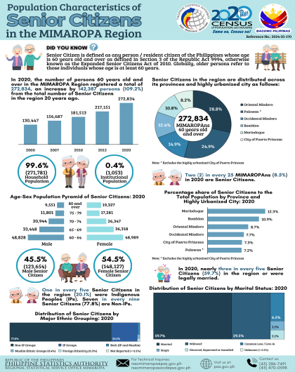 Population Characteristics of Senior Citizens in the MIMAROPA Region