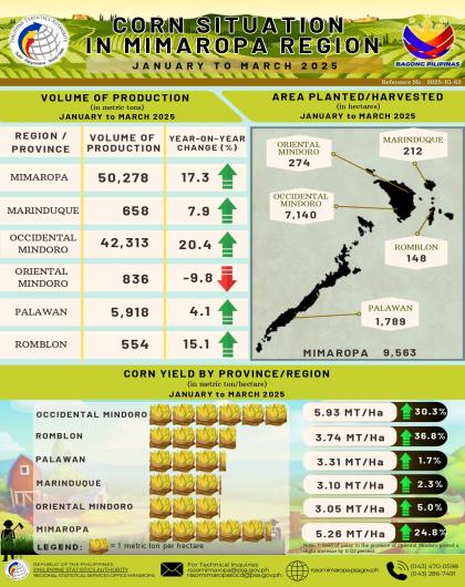 Corn Production in MIMAROPA: First Quarter 2025