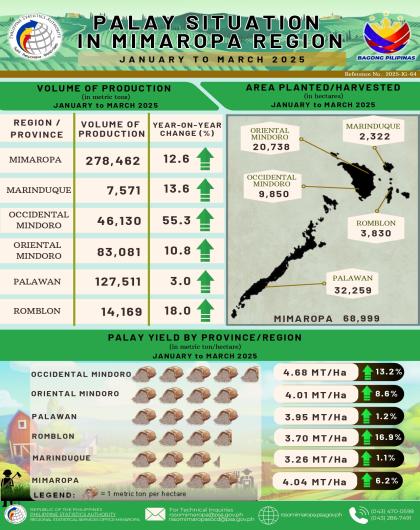 Palay Production in MIMAROPA: First Quarter 2025