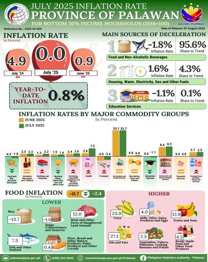 July 2025 Inflation Rate for Bottom 30% Income Households in the Provice of Palawan (2018=100)