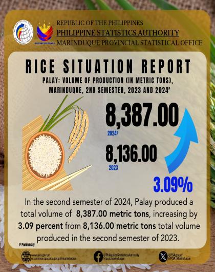 Rice Situation Report 2nd Semester 2023-2024