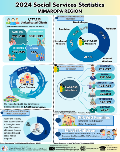 2024 Social Services Statistics in MIMAROPA Region