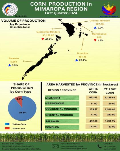 Corn Production in MIMAROPA: First Quarter 2024