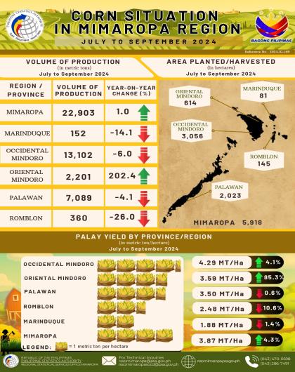 Corn Situation in MIMAROPA Region: Third Quarter 2024