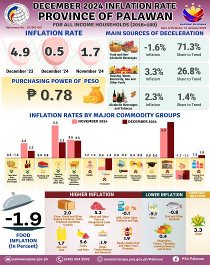 December 2024 Inflation Rate for All Income Households in the Province of Palawan