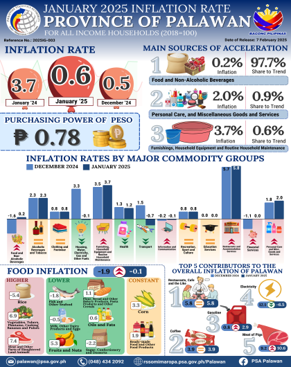 January 2025 Inflation Rate for All Income Households in the City of Puerto Princesa (2018=100)