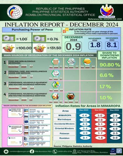 INFLATION REPORT - DECEMBER 2024