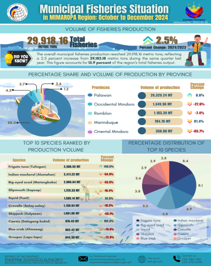Municipal Fisheries Situation in MIMAROPA Region: Fourth Quarter 2024