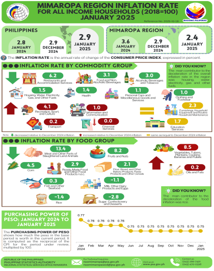 January 2025 Inflation Report of MIMAROPA Region