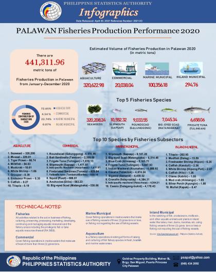 Palawan Fisheries Production Performance 2020