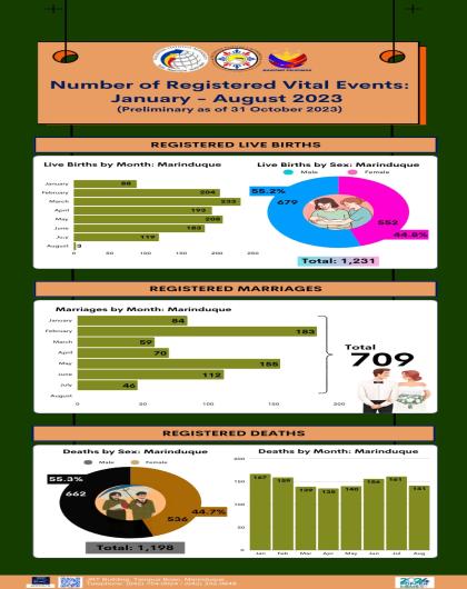 REGISTERED VITAL EVENTS IN MARINDUQUE: JANUARY – AUGUST 2023  (PRELIMINARY AS OF 31 OCTOBER 2023)