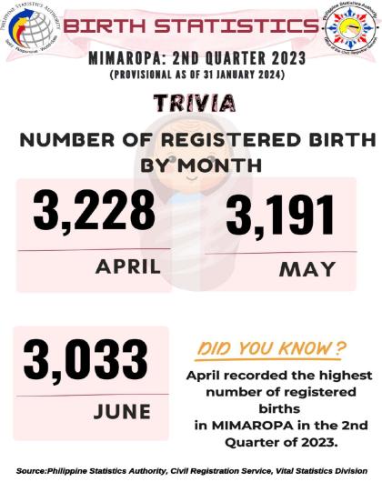 Birth Statistics MIMAROPA: 2nd Quarter 2023