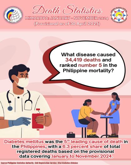 Trivia on Death Statistics, MIMAROPA: January to November 2024 (Provisional as of 30 April 2025)