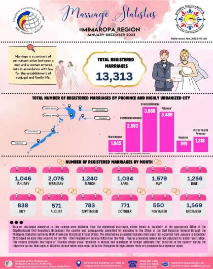 Marriage Statistics in MIMAROPA Region