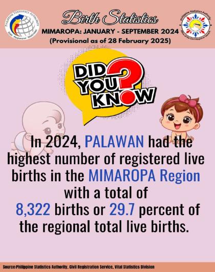 Trivia on Birth Statistics, MIMAROPA: January to September 2024 (Provisional as of 28 February 2025)