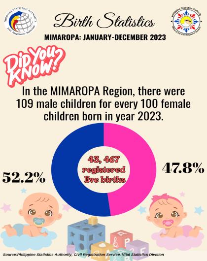 Trivia on Birth Statistics, MIMAROPA: January to December 2023