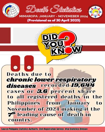 Trivia on Death Statistics, MIMAROPA: January to November 2024 (Provisional as of 30 April 2025)