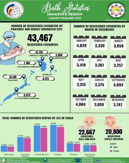 Birth Statistics MIMAROPA: January to December 2023