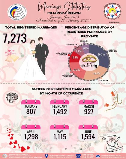 Marriage Statistics MIMAROPA: January to June 2024