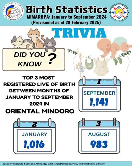 Trivia on Birth Statistics, MIMAROPA: January to September 2024