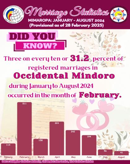 Trivia on Marriage Statistics, MIMAROPA: January to August 2024