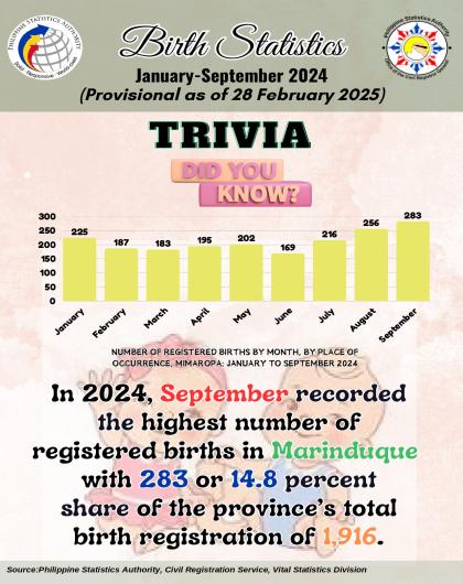Trivia on Birth Statistics, MIMAROPA: January to August 2024
