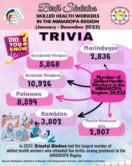 Trivia of Skilled Health Workers in the MIMAROPA Region