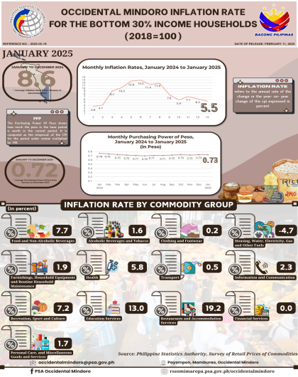 Infographic about the January 2025 Occidental Mindoro Inflation Rate for the Bottom 30% Households