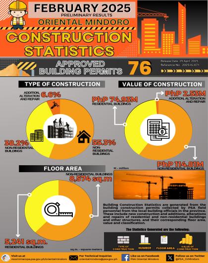 Oriental Mindoro Building Construction Statistics February 2025