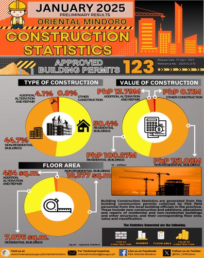 Oriental Mindoro Building Construction Statistics January 2025