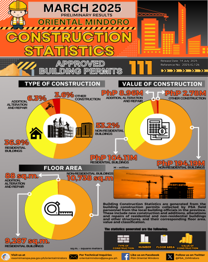 Oriental Mindoro Building Construction Statistics March 2025