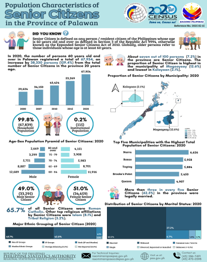 Population Characteristics Of Senior Citizens in the Province of Palawan