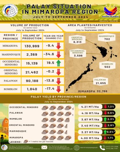 Palay Production in MIMAROPA: Third Quarter 2024