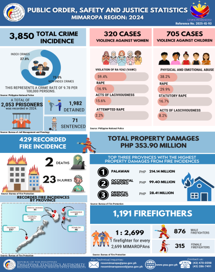 Public Order, Safety and Justice Statistics, MIMAROPA Region: 2024