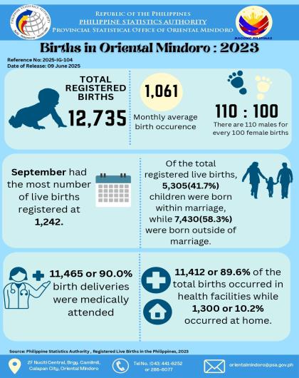 Registered Births in Oriental Mindoro: 2023