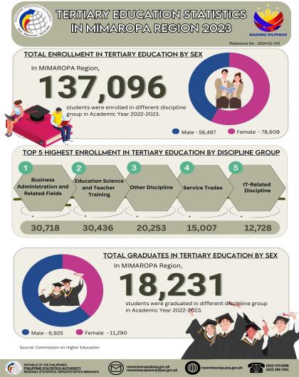 Tertiary Education Statistics in MIMAROPA Region 2023