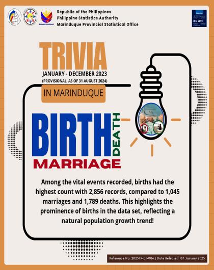 Vital Events in Marinduque: Jan-Dec 2024 (P as of 31 Aug 2024)