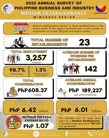 2022 ASPBI - Medium Establishments